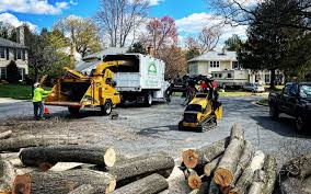 Reliable Vinton, VA Tree Services Solutions