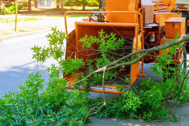 Best Lawn Watering Services  in Vinton, VA