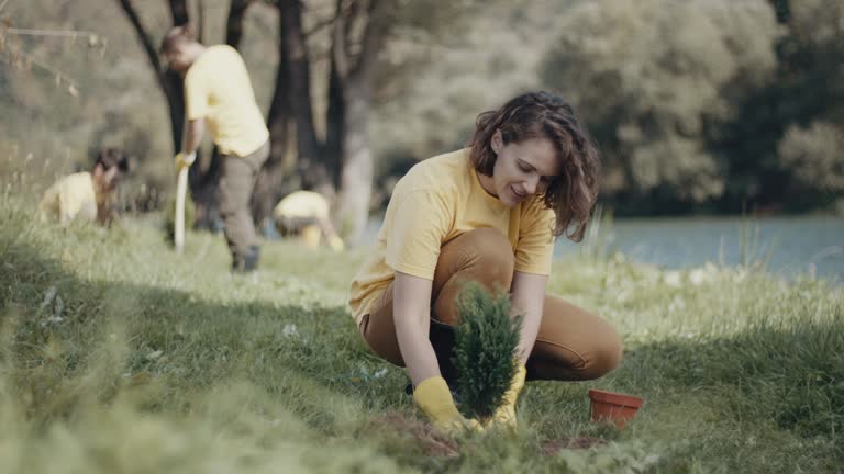Best Organic Lawn Care Solutions  in Vinton, VA