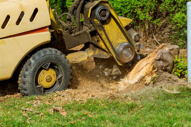 Soil Testing and Treatment in Vinton, VA