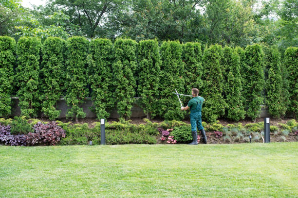  Vinton, VA Tree Services Pros