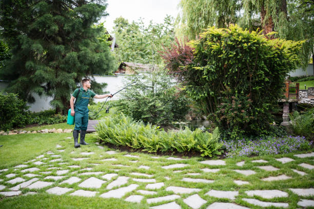 Best Lawn Pest Prevention  in Vinton, VA