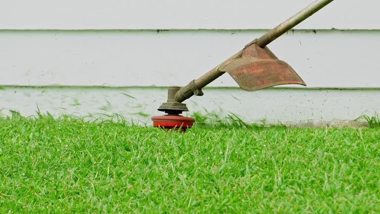 Best Tree Health Inspection  in Vinton, VA