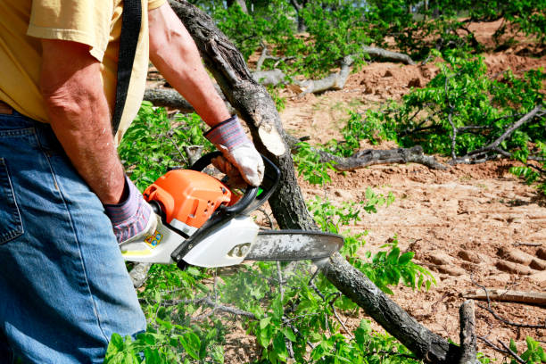 Best Aeration Services  in Vinton, VA